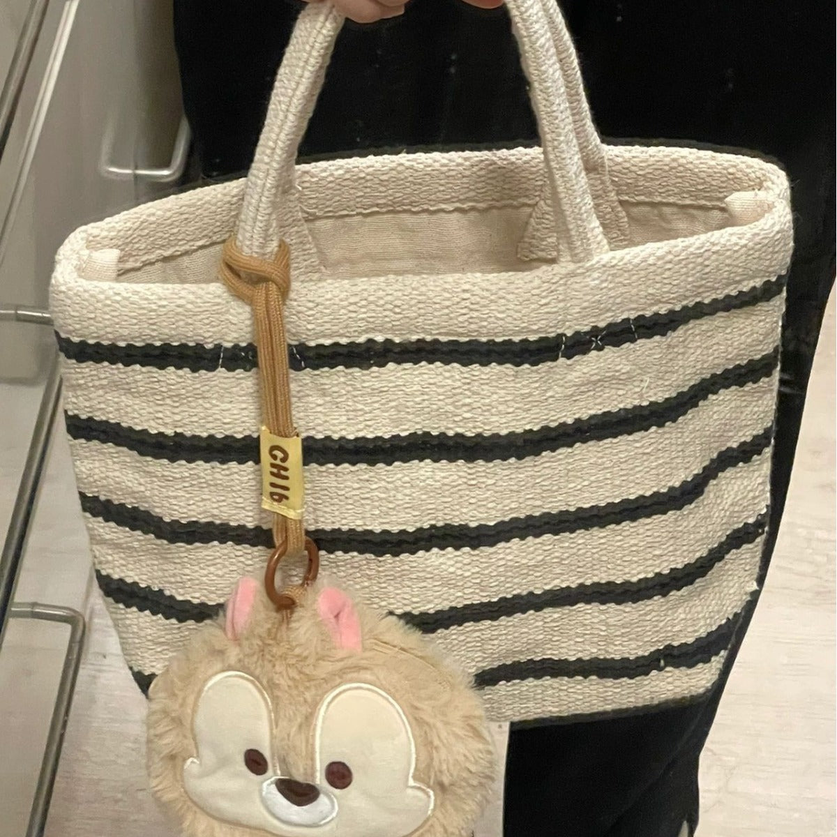 Mini Tote Bag Women's 2025 New Literary and Simple Canvas Hand Carry Lunch Box Bag Versatile Shoulder Bag